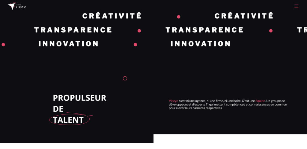 Capture du site web viseyo.ca