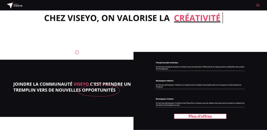Capture du site web viseyo.ca